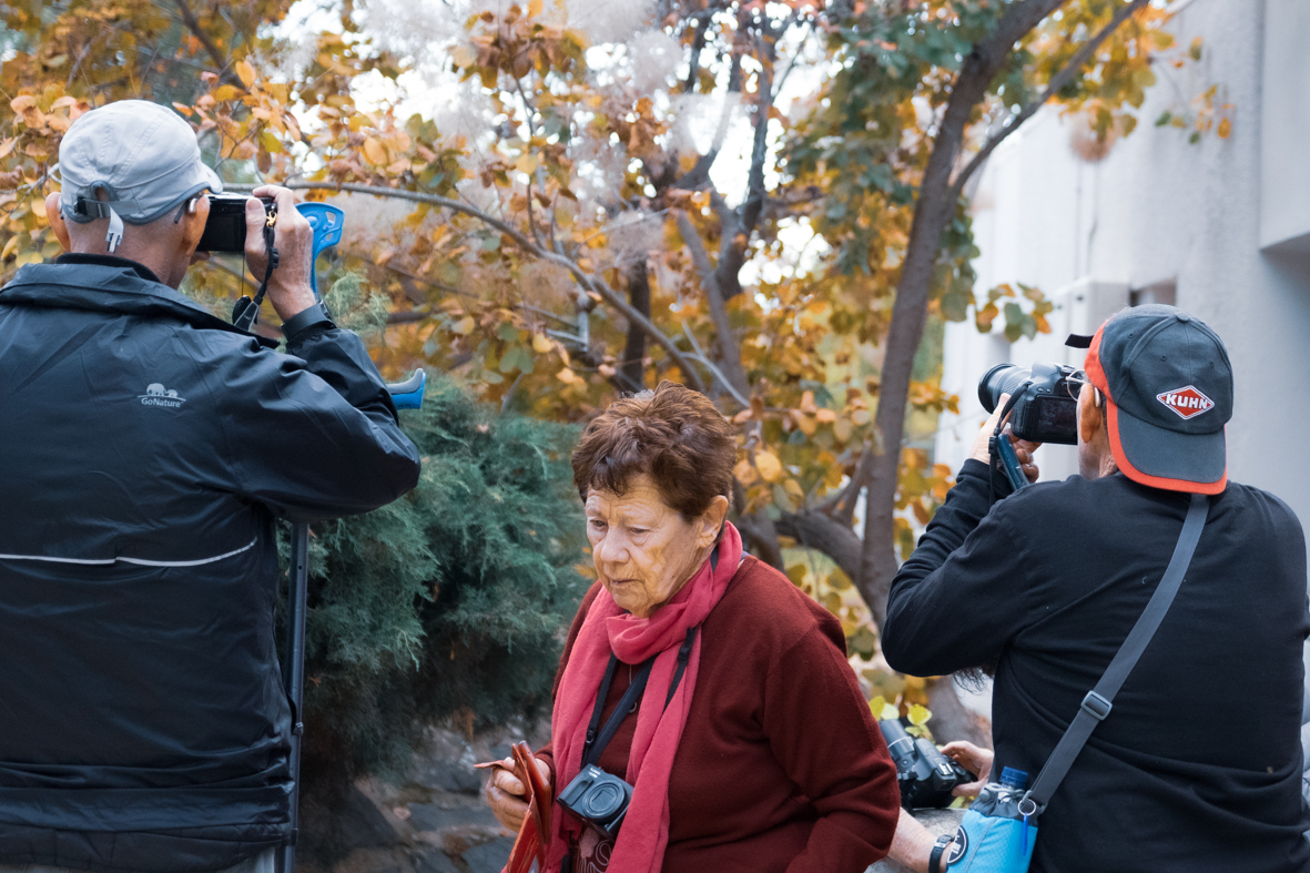 מטיילים ומצלמים -שלכת בגולן