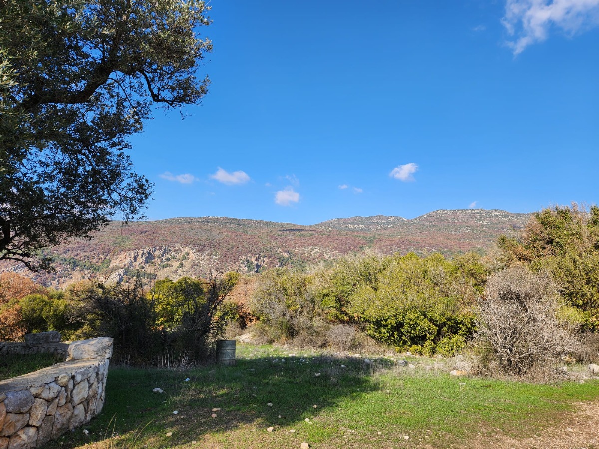 שביל ישראל- הירידה מהחרמון 12 (2)