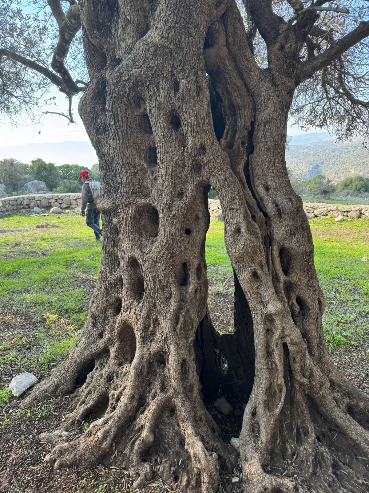 שביל ישראל- הירידה מהחרמון 12 (25)