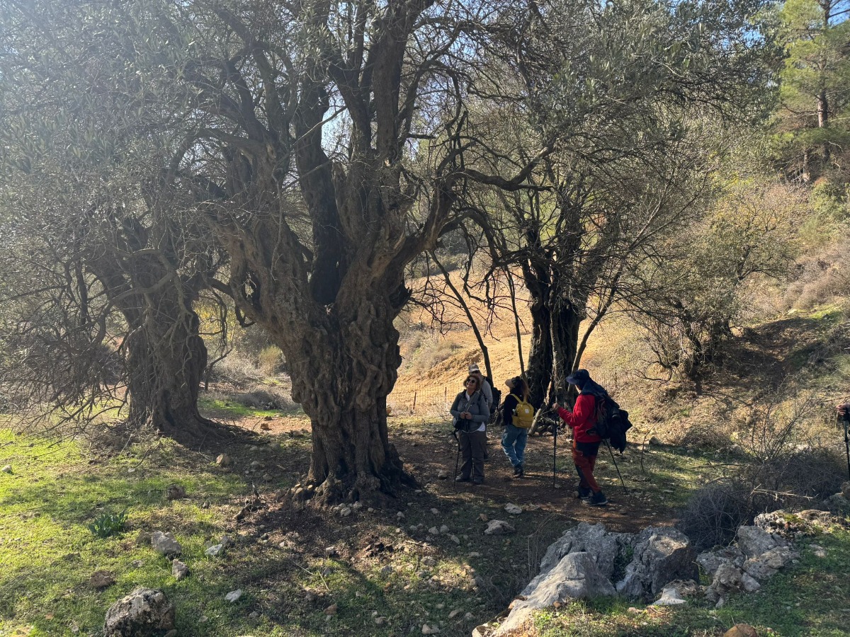 שביל ישראל- הירידה מהחרמון 12 (20)