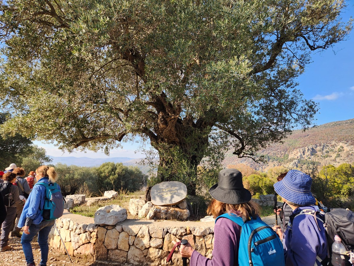 שביל ישראל- הירידה מהחרמון 12 (16)
