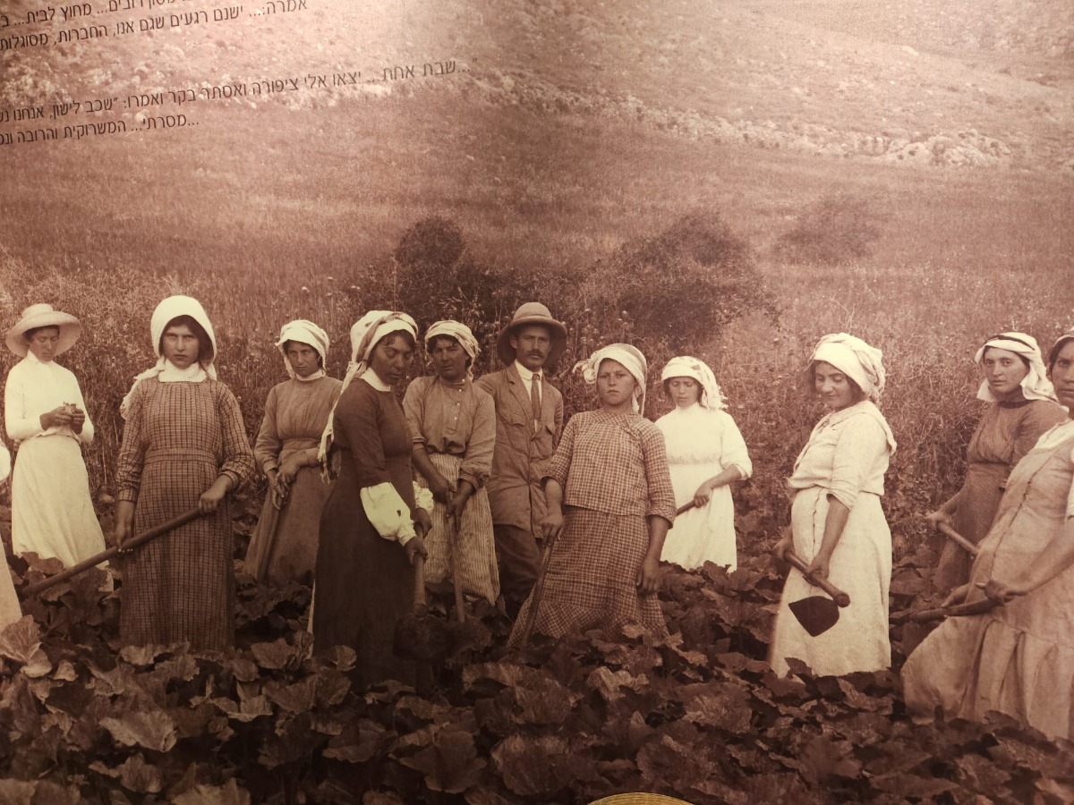 בחצר בכפר גלעדי (9)