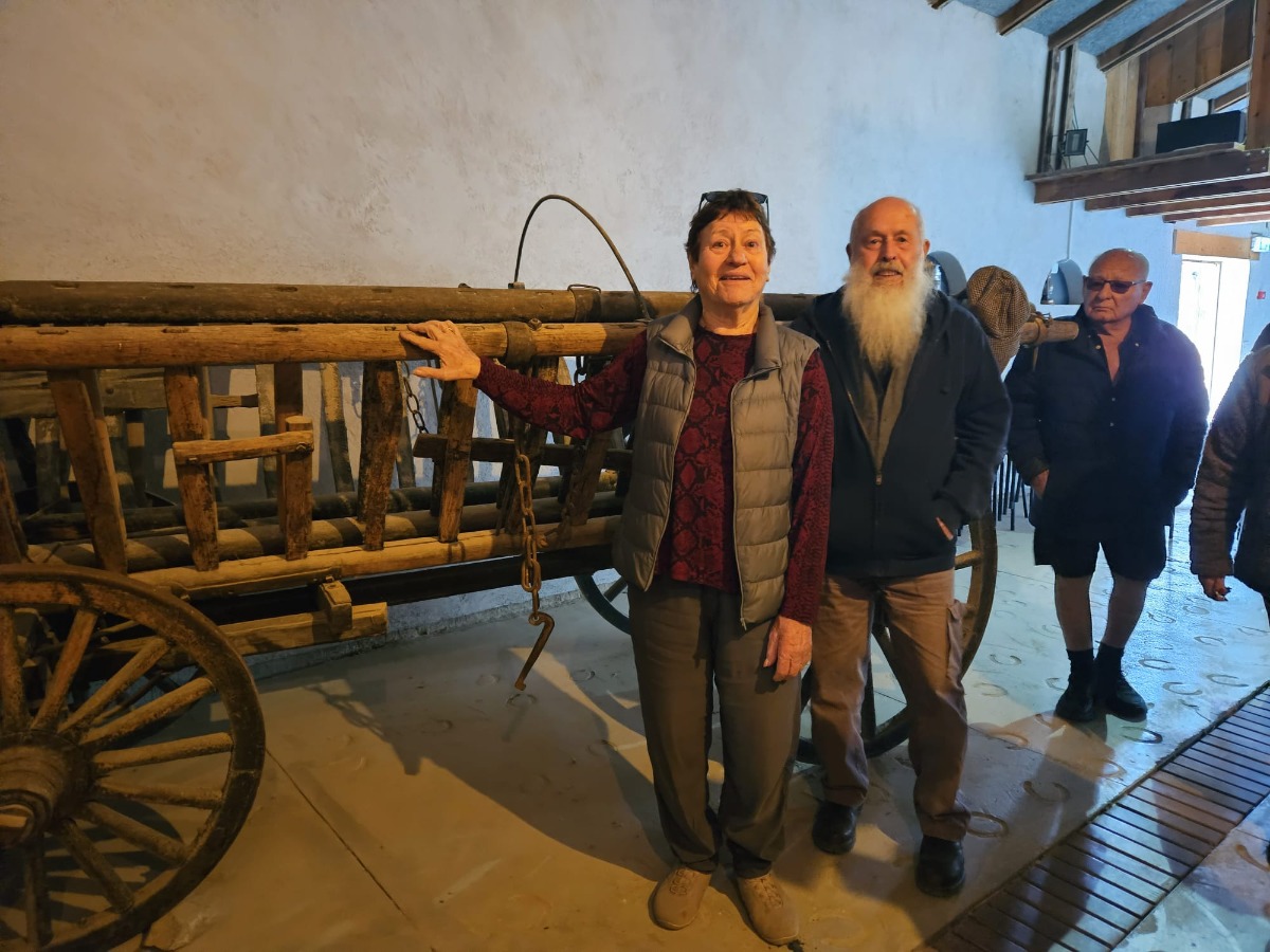 בחצר בכפר גלעדי (4)