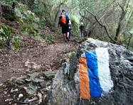 4 ימי צעידה באילת  -   17-20.2