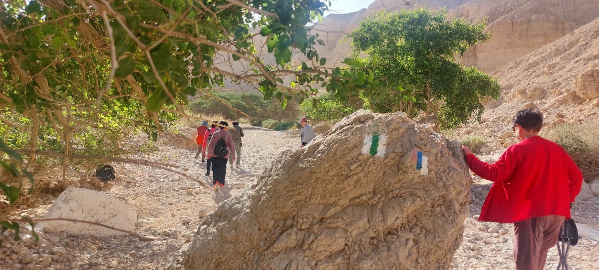 נופשון בים המלח  (6)