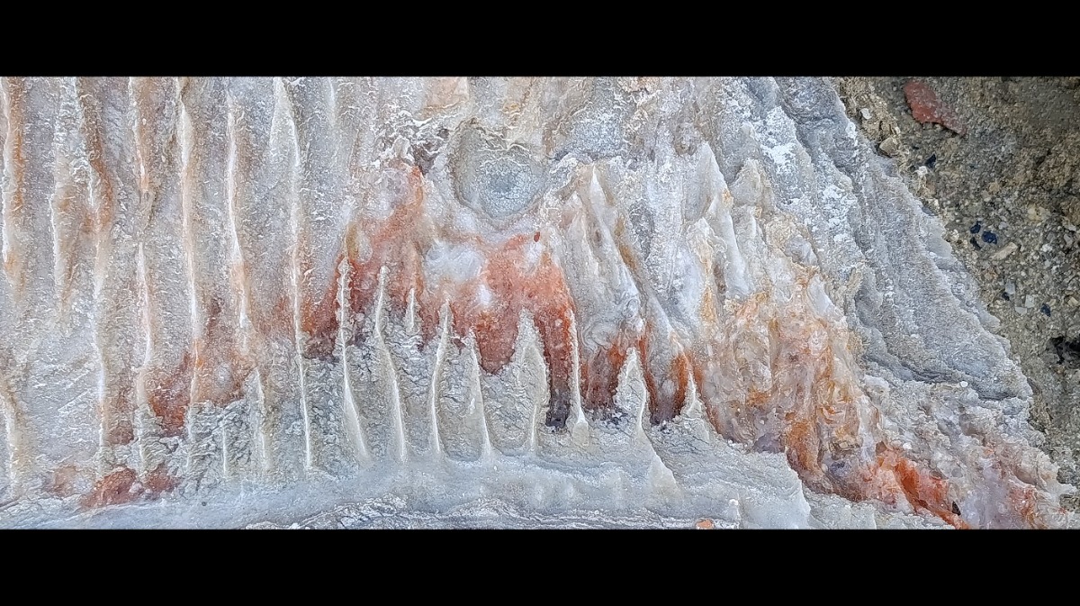 נופשון בים המלח  (18)