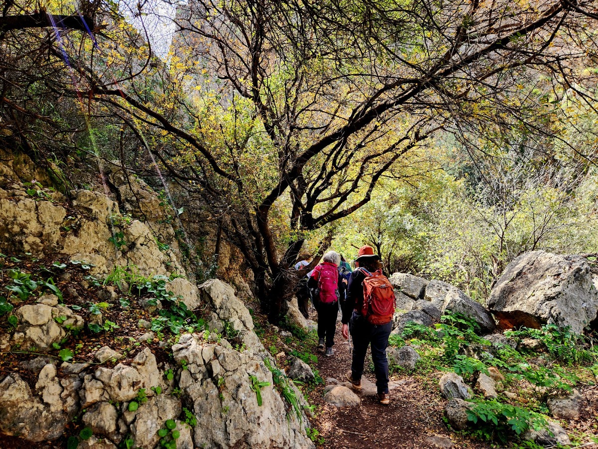 שביל ישראל-נחל עמוד תחתון (2)