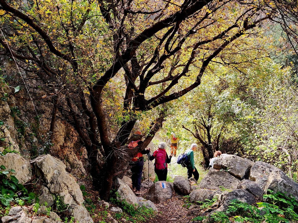 שביל ישראל-נחל עמוד תחתון (10)