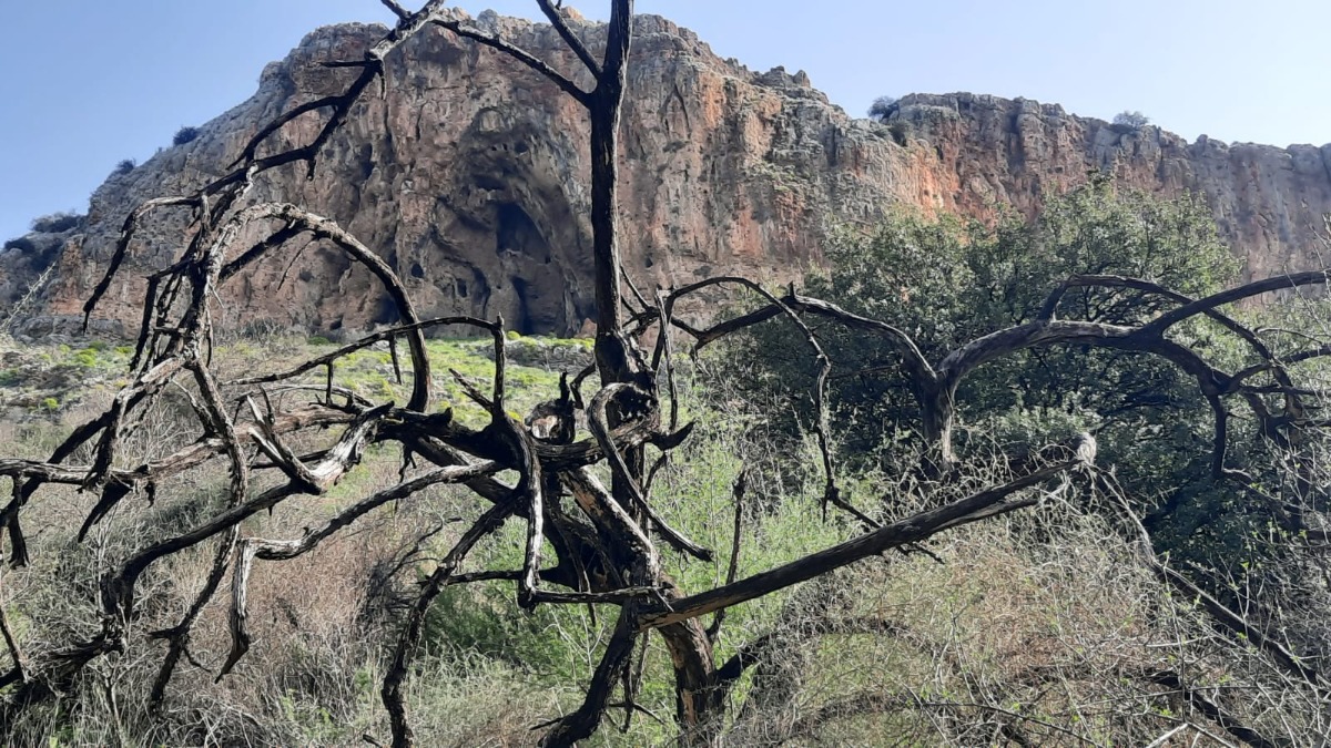 שביל ישראל-נחל עמוד תחתון (15)