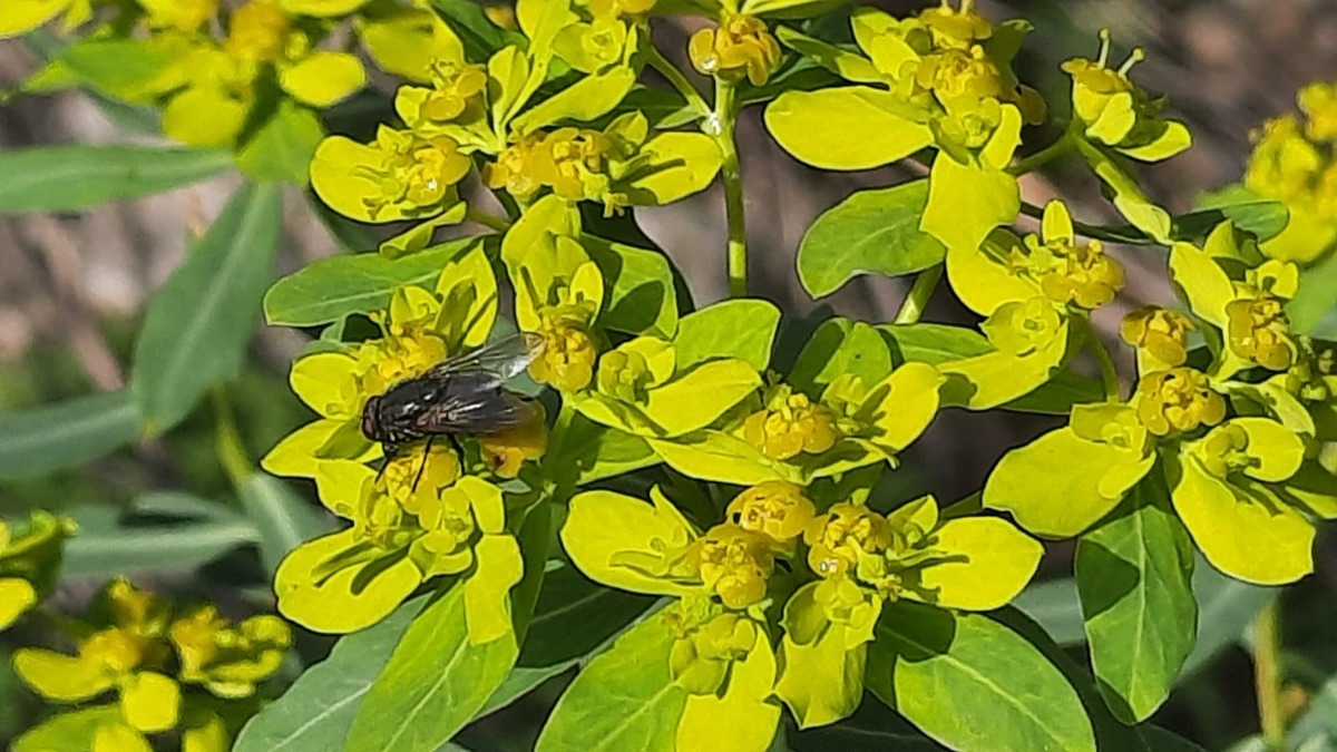 שביל ישראל-נחל עמוד תחתון (12)