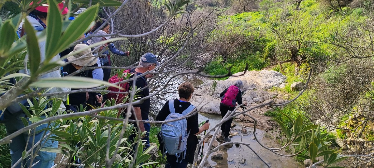 שביל ישראל-נחל עמוד תחתון (14)