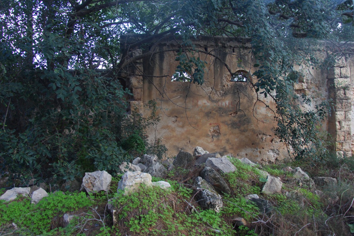 מטיילים ומצלמים במקומות נסתרים בליבה של זכרון יעקב (13)