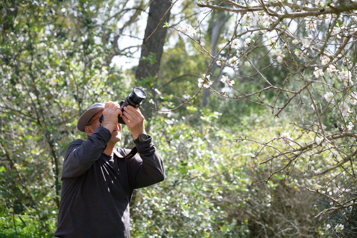 מטיילים ומצלמים במקומות נסתרים בליבה של זכרון יעקב (9)