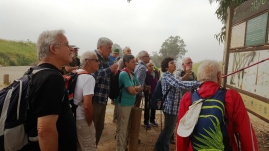 משמורת פורה לדביר(32 תמונות)