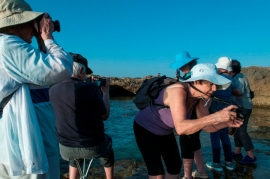 סיום שנה של צילומים(16 תמונות)