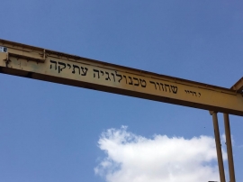 צועדים בשביל הגולן  3.5.17(17 תמונות)