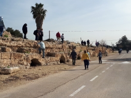 ארץ אהבתי בג'יסר א זרקה ונחל התנינים- 9.2.18(58 תמונות)