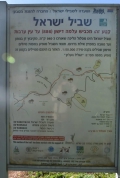שביל  ישראל מהציבעון לדישון 8.3.19(104 תמונות)
