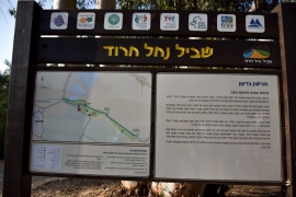 מפגש הליכה נורדית 15.05.2019(20 תמונות)