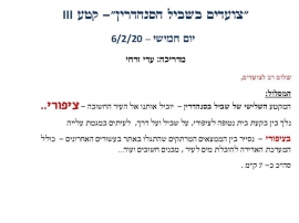 ציפורי(24 תמונות)