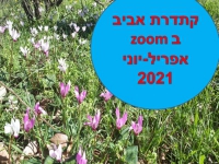 קתדרת אביב בזום קתדרת אביב בזום