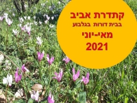 קתדרת אביב בדורות קתדרת אביב בדורות