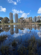 מטיילים ומצלמים סביב שלולית החורף הגדולה בנתניה