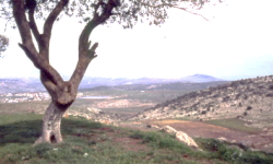 טיול לאורך הירקון - פרק אפק- 19.12